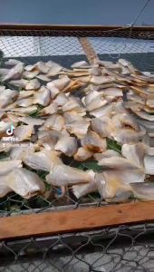 Khô cá sặc đồng( cá sặc bướm 500gr  Khô cá sặc lá loại 1-Vựa Khô Minh Triết