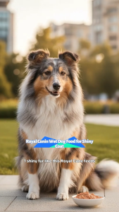 Royal Canin Coat Care Loaf 85g Adult Wet Dog Food | Canine Care Nutrition for Dull Rough Hair Shiny Coat Skin Nourishment Enriched with Omega 3 & 6 Fatty Acids Borage Oil Formula for Sensitive Skin & Intense Coat Color [New Stock]