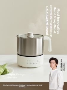 Olayks | Pure Titanium Multi-function Electric Cooking Pot Small