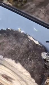 Máy cưa xích dùng pin MAKITA KHÔNG CHỔI THAN máy cưa xích cầm tay minicông suất lớn siêu khỏe bảo hành 6 tháng