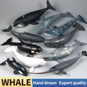 Large Whale Action Figure Solid Simulated Ocean Sea Animal Model Toy for Collection Decoration Playset Gift
