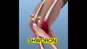 Joint Relief Cream l Fast-Acting Soothing Pain Relief for Muscles Joints and Stiffness l Quick Absorption l 1 Box 20g