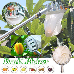 Metal Fruit Picker Gardening Tools Fruit Tree Picking Tool Outdoor Kait Buah Fruit Catchers