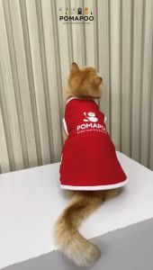 Pawxue Tank - Baju Kucing dan Baju Anjing p\POMAPOO Premium Berkualitas