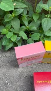 Paket Hemat Krim & Sabun FLACENTA Lightening Beauty Soap With Vitamin E 80 gr