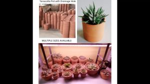 JCLSGP Terracotta pots Succulent Pots Cactus Pot