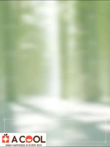 Quạt cầm tay mini tích điện gấu trúc màu trắng