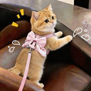 LESHUANGCHONGJU | Anti-escape Kitten Harness Silk Bow