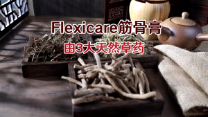 【HQ-READY STOCK 】Flexicare Flexicure Pain Relief Paste 筋骨王緩解疼痛膏 Flexi Care Cure 1 bottle 20g