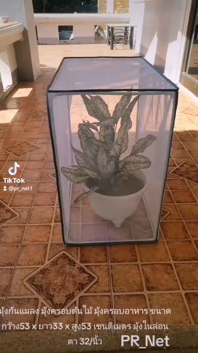 มุ้งครอบกันแมลงสำหรับต้นไม้และอาหาร ตา 32/นิ้ว