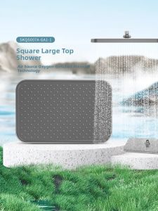 SSWW | Rain Style Single Head Shower