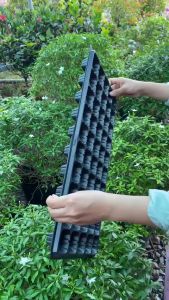 Combo 2 cái khay nhựa ươm hạt giống ươm cây con( 50 lỗ/cái)