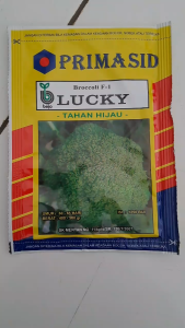 BENIH BEJO BROKOLI LUCKY PRIMASID // BROKOLI HIJAU LUKI