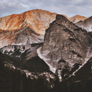 Máy cạo râu yandou SC W301U và SC W316U máy cạo dâu cạo khô với lưỡi dao sắc bén - bảo hành đổi mới miễn phí