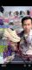 MEGA STORE SHOES 3