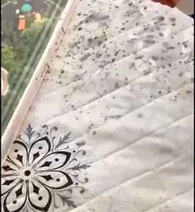 🔴นำเข้าจากญี่ปุ่น🔴สเปรย์กำจัดเชื้อรา 500ML ทำความสะอาดขจัดคราบสกปรก พื้นขึ้นรา เฟอร์นิเจอร์ขึ้นรา ป้องกันโรครา สเปรย์ขจัดคราบเชื้อรา น้ำยากำจัดเชื้อรา น้ำยากำจัดรา น้ำยากำจัดเชื้อรา น้ำยาขจัดราดำ สเปรย์ขจัดคราบ ไม่ทำร้ายผนัง ไม่_ทำร้ายกับผนัง