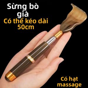 Dụng Cụ Gãi Lưng Có Thể Mở Rộng