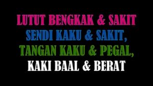 KAPSUL SAMRAT 42 Kapsul | Obat Asam Urat Herbal Alami | Obat Herbal Asam Urat | Obat Rheumatik Ampuh