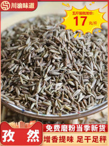 Authentic Xinjiang Cumin Pure Selected Barbecue Barbecue Seasoning 500G Semi-Granular Sauce Dipping Powder Spice Seasoning Collection