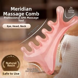 Head and Face Massage Comb