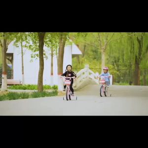 ROYALBABY JENNY/BUNNY 12 INCH KIDS BIKES