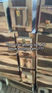 WhatsApp Video 2023-11-18 at 14.58.30 (1).mp4