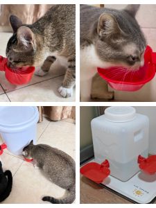 Cat Automatic Water Feeder Large Capacity Homemade Pet Water Feeder Automatic Water Stop without Plug-in Cat Water Fountain