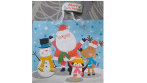 Túi giấy họa tiết Noel túi đựng quà tặng Giáng Sinh túi quà tặng nhiều màu sắc 30x25x10cm