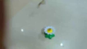 ĐỒ CHƠI BƯỚM QUAY SẮC MÀU/ CHIM QUAY CHO MÈO CHƠI ĐỒ CHƠI CHO MÈO (KO KÈM PIN)