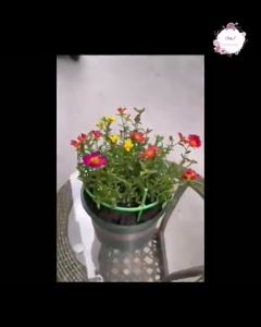 🇲🇾 Flower shelf Support Rod Climbing Bracket flower Vine Rak Bunga Sokongan 花架子货架支撑杆爬藤花架兰支架花藤架子拼接花支架