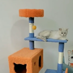 HATELI Color Cat Tree for Indoor Cats Large Cat Tree Multi-Level Tall Cat Tower with Sisal Scratching Posts Cat Condos Perches Large Hammock Four Seasons Universal Cats Climbing Frame