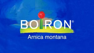 ลดบวม เขียว ช้ำ Boiron Single Remedies Arnica Montanca 30X 3 Tubes Approx. 80 Pellets Each (ส่งผ่านแอปพลิเคชัน)