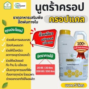 ครอปแคล-ธาตุอาหารเสริมพืช 5 ลิตร ช่วยเพิ่มขั้วเหนียวและประสิทธิภาพ ขนาดเล็กน้อย ผนังเซลล์แข็งแรง