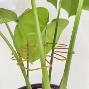 1Pc Giá Treo Cây Bằng Sắt Có Giá Đỡ Chống Rơi Trong Nhà Ngoài Trời Trang Trí Chậu Hoa Móc Sắt