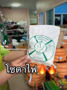 Caustic Soda Flake 900g โซดาไฟเกล็ด เกล็ดโซดาไฟ NaOH Sodium Hydroxide โซเดียมไฮดรองไซด์ 900g