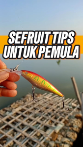 Box Superstar BX-11 Double Layer Storage Box Aksesories Pancing Lure Minnow Metal jig Tamiya Victoria Fishing