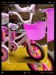 SEPEDA MINI ANAK PEREMPUAN BAN EVA /CENTRUM 12 INCH 8806-3 SEPEDA MINI ANAK PEREMPUAN 12 FOSTER /VELION /CENTRUM BAN EVA DORONGAN DAN STIR