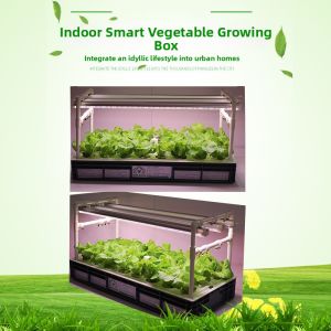 ZHUOLESHI | Smart Soil-less Hydroponic Gardening Machine