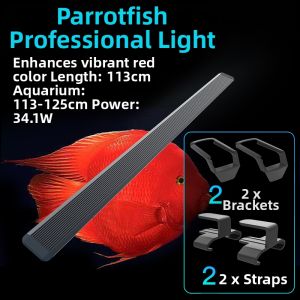 JiYin | Color-Enhancing Waterproof Light