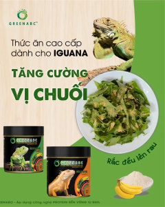Thức ăn IGUANA BABY Vị Chuối GREENABC. Dành cho Igu từ mới nở cho đến 9x tăng size màu đẹp – Hộp 230g