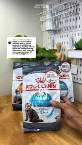 400g Royal Canin Persian Dry Cat Food Kitten Adult Hairball Skin Hair Health Urinary Pet Essentials