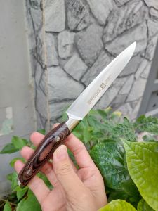 Dao gọt trái cây cao cấp cán gỗ sồi hàng Đức dài 23cm