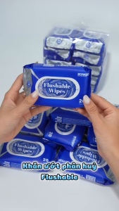 Thùng 10 Gói Khăn Ướt Đi Toilet Tan Được Trong Bồn Cầu Flushable Wipes Gói 20 Tờ