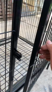 khóa cửa tự động cho chuồng