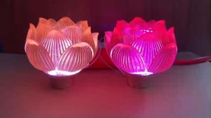 1 bộ- đèn thờ pha lê lưu ly đổi màu- 7 màu đèn thờ gắn lư đồng- tùy chỉnh nhiều chế độ sáng 1 màu- đổi màu nhanh/chậm -1 đổi 1 nếu bể vỡ hư hỏng