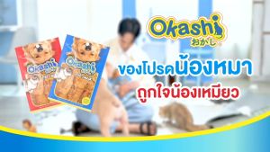 OKASHI Dog and Cat Snack ขนมขบเคี้ยวสำหรับสูงสุดและแม้ว่าการดูแลสุขภาพสุขกับแมว 4.5” 7 ชิ้น คูปองส่งฟรี สูงสุด 40 บาทได้