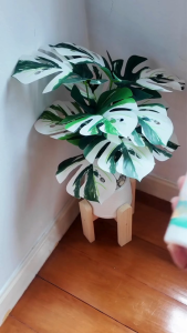 (แพ็คใหญ่ 6 ขวด) สเปรย์ฉีดผ้าหอม Ecoville 250ml – กลิ่นหอมยาวนาน ขจัดกลิ่นอับ ใช้ได้กับทุกผ้า ปลอดภัยจากพืชธรรมชาติ