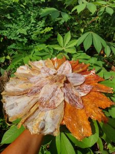 Combo 1kg khô lai rai 4 trong 1 có [ 300g cá mối phi lê +300g cá mối tẩm ớt+300g cá mối vị tự nhiên + 100g khô mực 7-8 con] thức ăn Food thơm ngon đóng gói hút chân không