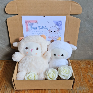 ✨ Cute White Sheep Gift for Girlfriends or Best Friend Giftset Hampers Blue Theme Cute Ready to Gift