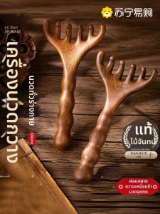 แปรงต้อนรับธรรมชาติแบบหัวม้าลายหนึ่งในแปรงทรงหกฟัน แปรงนวดหลังศีรษะ แปรงขนแกะ วัสดุไม้